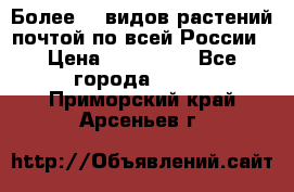 Более200 видов растений почтой по всей России › Цена ­ 100-500 - Все города  »    . Приморский край,Арсеньев г.